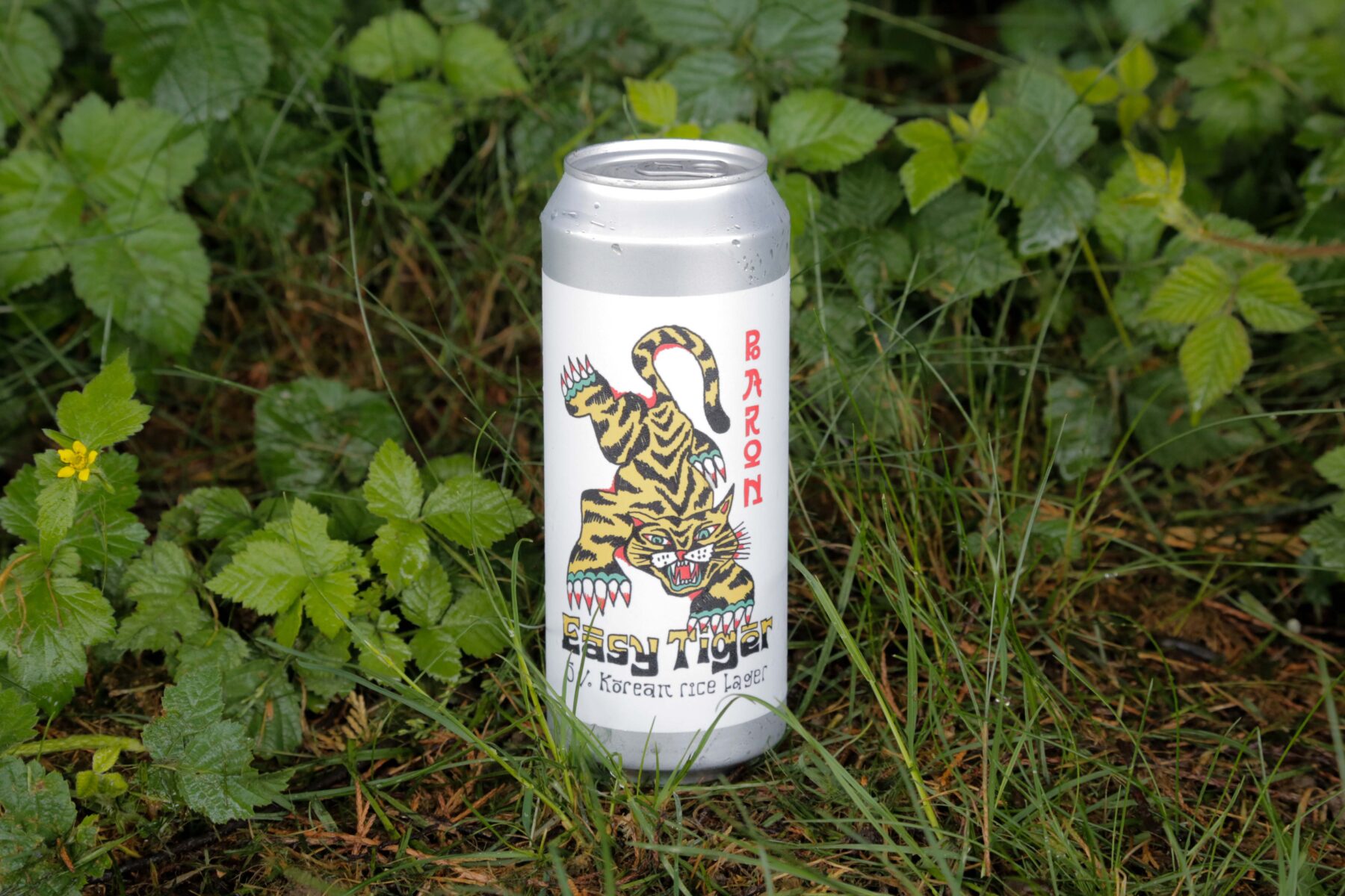 Easy Tiger - 5% Korean Rice Lager - 500ml